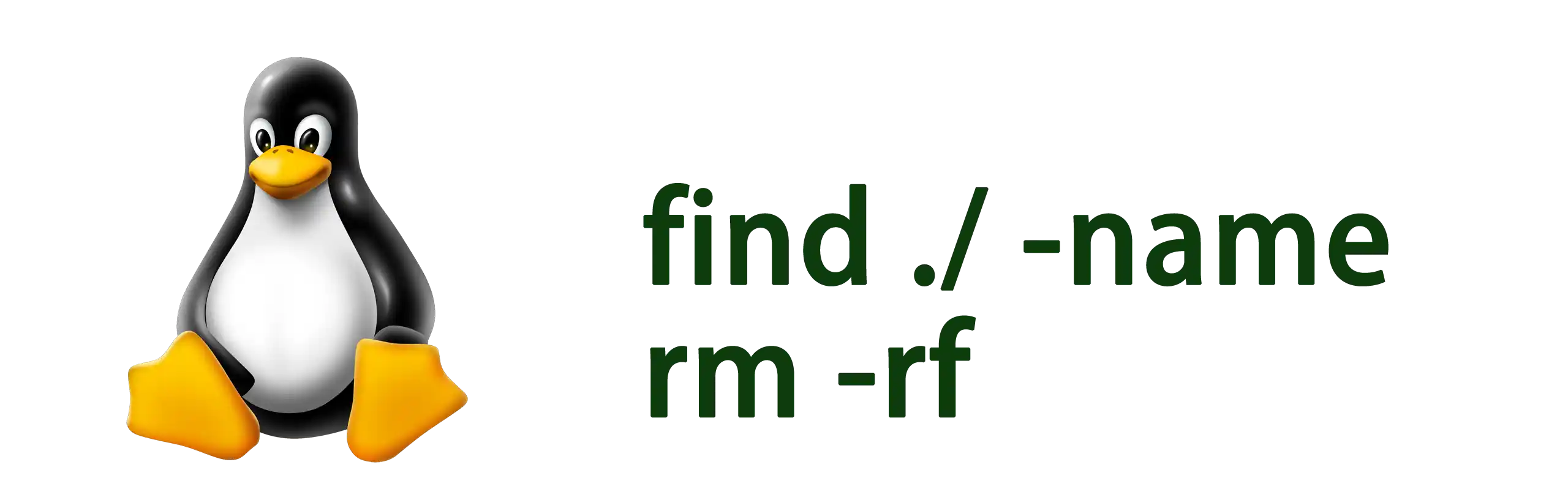 find&amp;rm